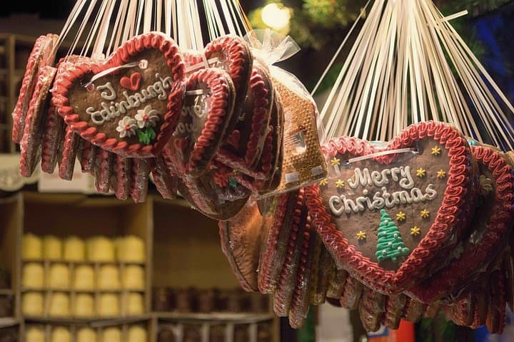 Edinburgh Winter Festivals Private Minivan Tour: Castle of Light, Botanics & Winter Market photo 4