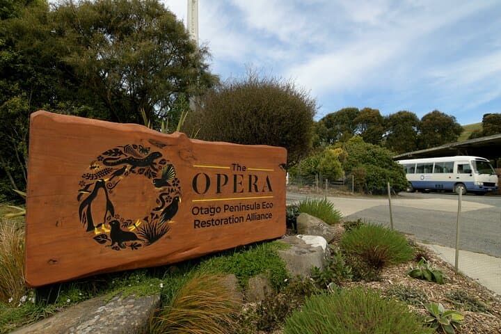 Otago Peninsula Wildlife & Penguin Tour: Up-Close Hoiho Viewing and Conservation