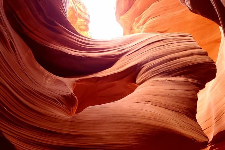Lower Antelope Canyon & Horseshoe Bend Day Trip from Sedona: Slot Light and River Curves photo 6