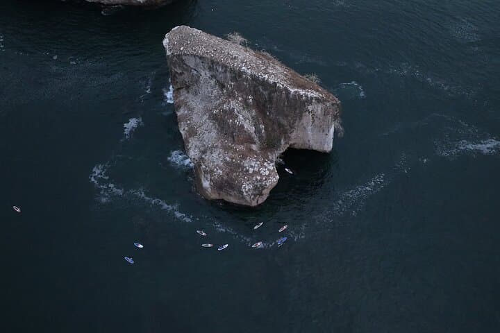 Private SUP Yoga and Snorkeling to Los Arcos — Paddle, Pose & Snorkel in Puerto Vallarta photo 5
