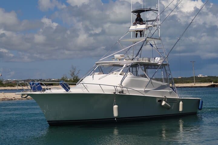 Half-Day Private Deep-Sea Fishing Aboard Angler Management — Turks & Caicos