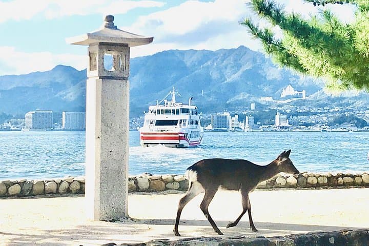 Custom 7-Hour Hiroshima & Miyajima Private Walking Tour — History, Shrine, Peace Park photo 6