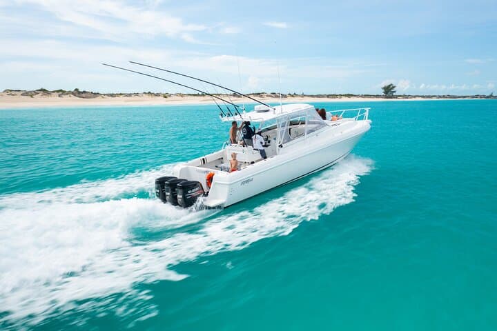 Hooked on Serendipity: Half-Day Private Bottom Fishing Off Providenciales photo 3