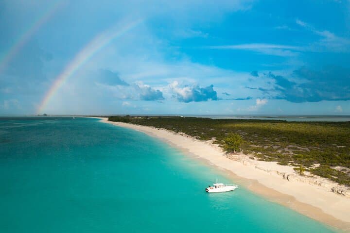 Half-Day Morning Bottom Fishing Aboard Serendipity in Providenciales, Turks and Caicos photo 6