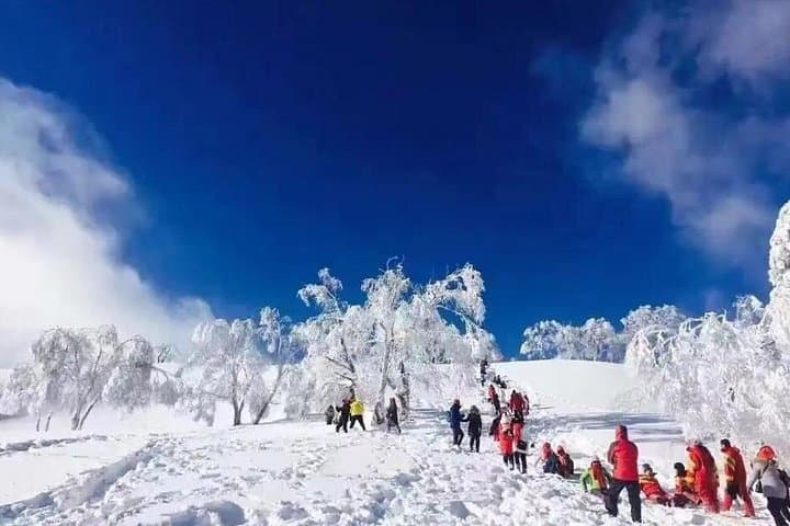 3-Day Snow Trekking Tour to China Snow Town from Harbin photo 4