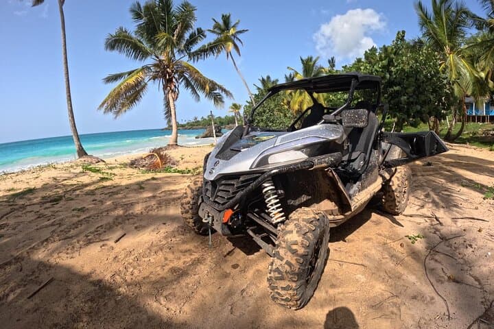Half-Day Buggy Adventure to Playa Rincón and Caño Frío, Samaná photo 3