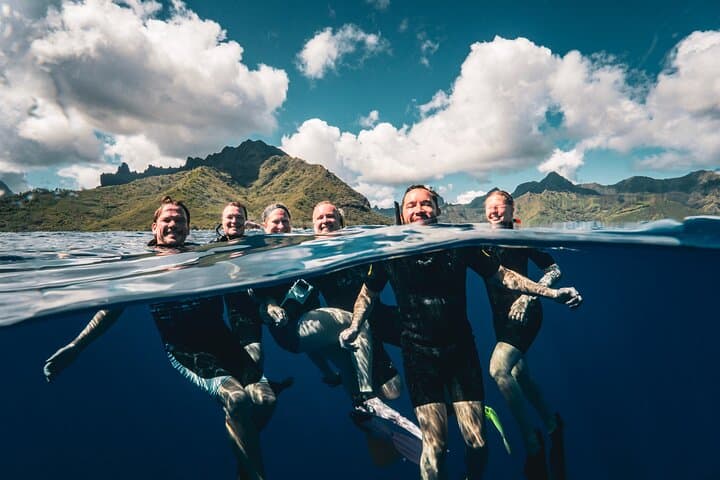 Half-Day Snorkeling Tour in Moorea — Guided Lagoon & Reef Wildlife Boat Trip photo 4