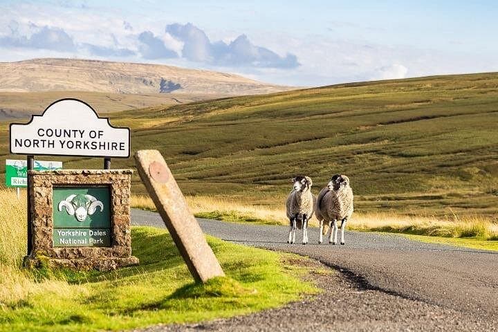 Yorkshire Dales Self-Guided Driving Tour: Bolton Castle, Aysgarth Falls & Hawes