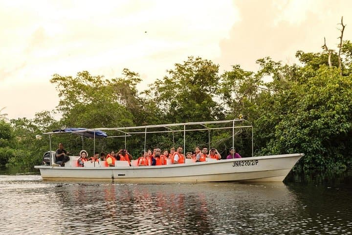 Kota Kinabalu City Tour & Klias River Fireflies Cruise: Nighttime Mangrove Magic photo 4