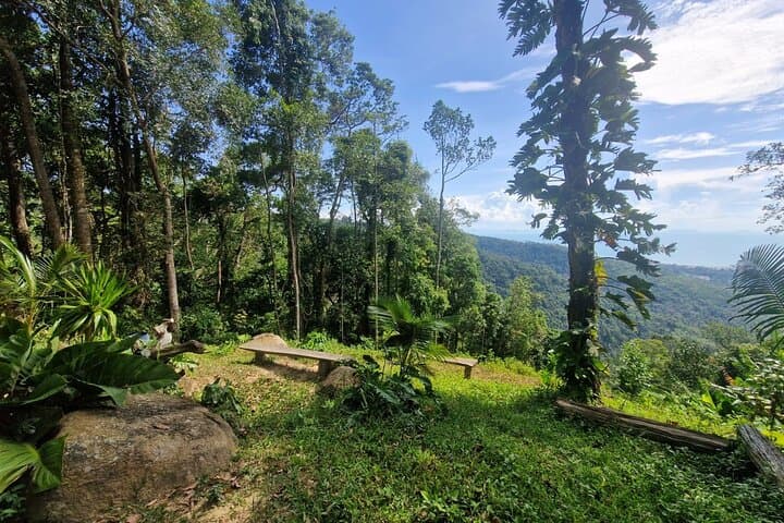 Koh Samui Jungle ATV & Electric Bike Adventure photo 2