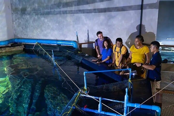 River Monster Tour & Angkor Wildlife Aquarium: Private Guide on Tonle Sap photo 5