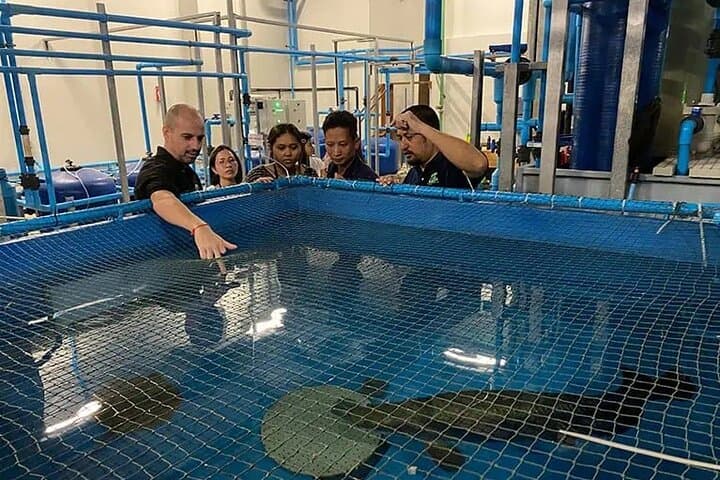 River Monster Tour & Angkor Wildlife Aquarium: Private Guide on Tonle Sap photo 6