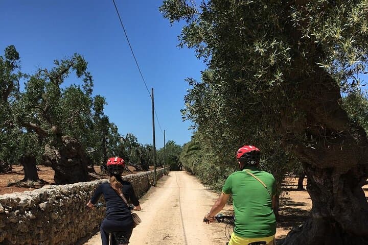 E‑biking the Countryside and Monuments of Conversano photo 3
