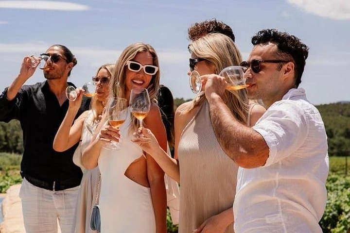 Day Trip from Barcelona to Priorat: 3 Wine Tastings and Gourmet Lunch photo 4