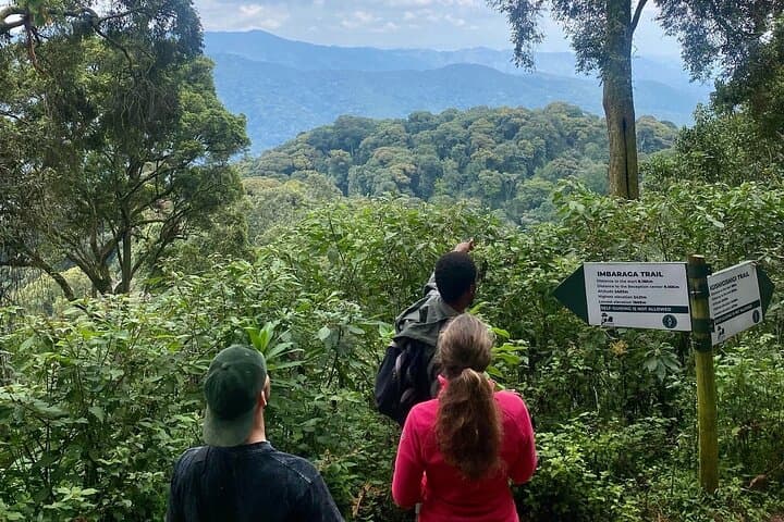 One-Day Nyungwe Forest Canopy Walk & Zipline Adventure from Kigali photo 2