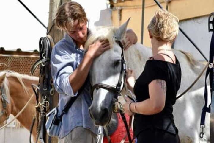 Private Horseback Riding and Tapas Picnic in Penedès from Barcelona photo 3