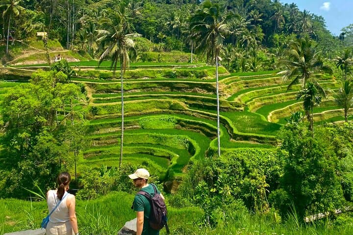 Ubud Private Day Tour — Monkey Forest, Tegalalang Rice Terraces & Tirta Empul photo 2