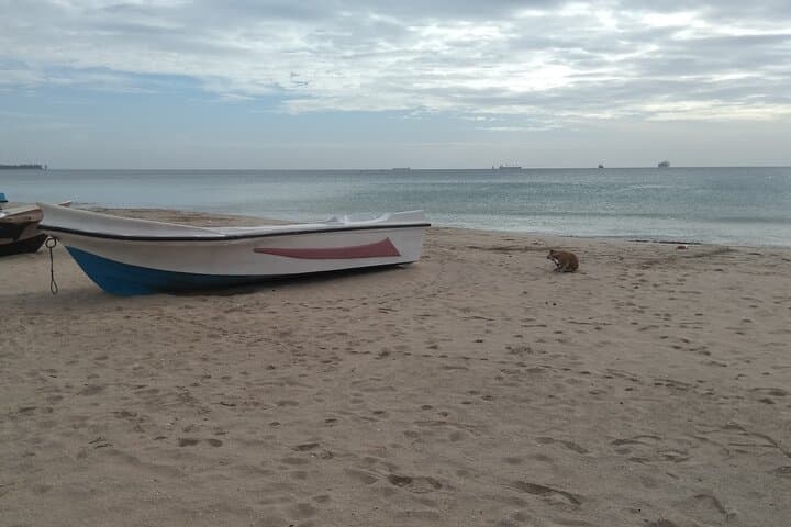 Trincomalee Day Tour from Kandy: Koneswaram Temple, Marble Beach & Kanniya Hot Springs photo 4