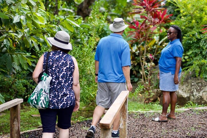 Grenada Nature & Heritage Escape: Private Half-Day Tour from St. George's