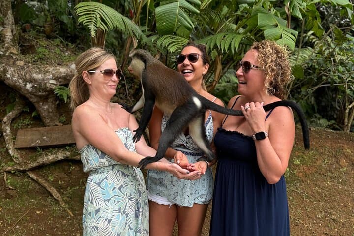 Grenada Nature & Heritage Escape: Private Half-Day Tour from St. George's photo 4