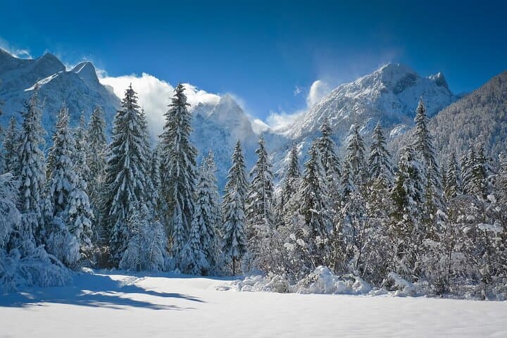 Bernina Express Private Tour from Milan — Scenic Alpine Rail Journey to St. Moritz photo 6