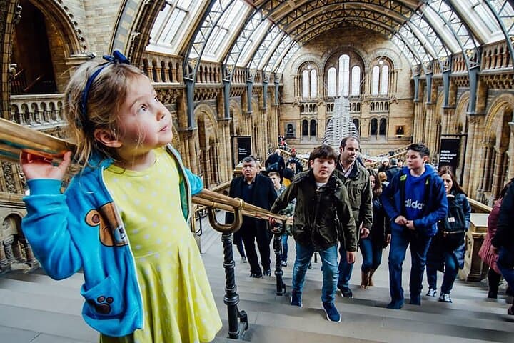 Explore London’s Natural History Museum: Blue Whale, Dinosaurs & Behind-the-Scenes photo 6