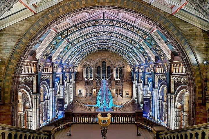 Explore London’s Natural History Museum: Blue Whale, Dinosaurs & Behind-the-Scenes photo 4