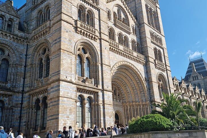 Explore London’s Natural History Museum: Blue Whale, Dinosaurs & Behind-the-Scenes