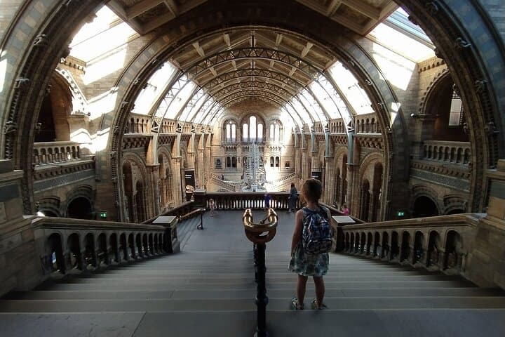 Explore London’s Natural History Museum: Blue Whale, Dinosaurs & Behind-the-Scenes photo 3