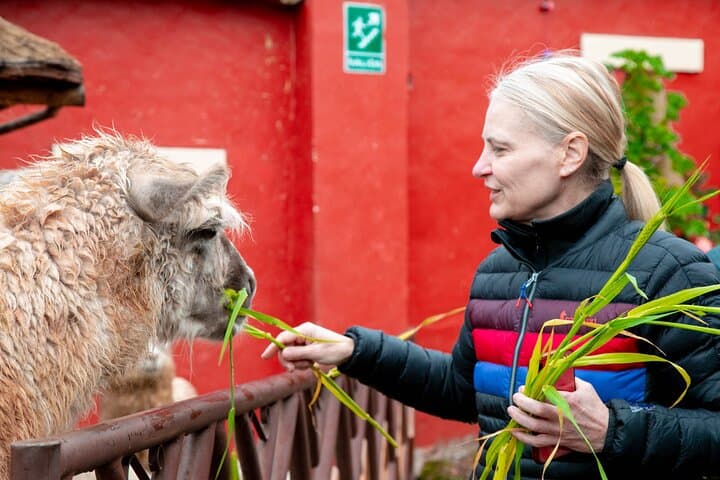 8-Day Private Peru Adventure: Cusco, Sacred Valley, Machu Picchu & Rainbow Mountain