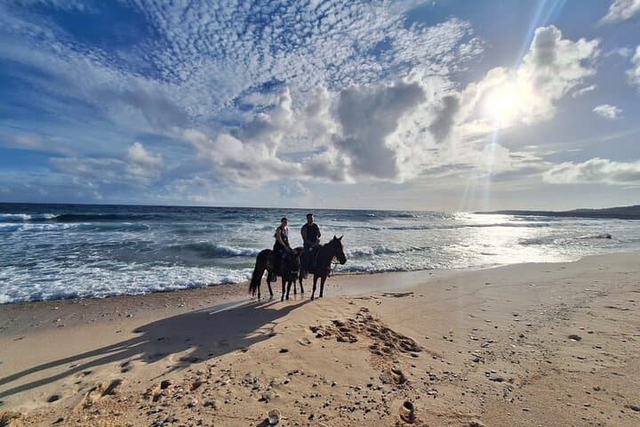 Advanced 2-Hour Private Horseback Ride in Aruba — Beach Gallops & Cunucu Trails photo 4