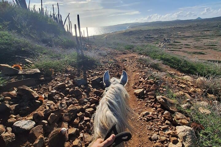 Aruba Hidden Lagoon Horseback Ride: Family-Friendly Cunucu Trail photo 3