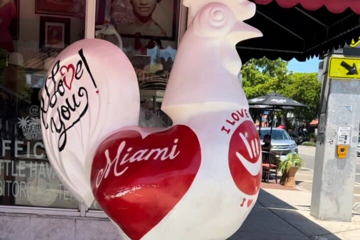 Little Havana Cultural Walking Tour: Calle Ocho Coffee, Domino Park & Cuban Heritage photo 5