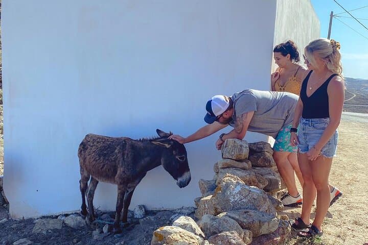 Private 6-Hour Mykonos Island Tour with Traditional Lunch & Panoramic Stops photo 2