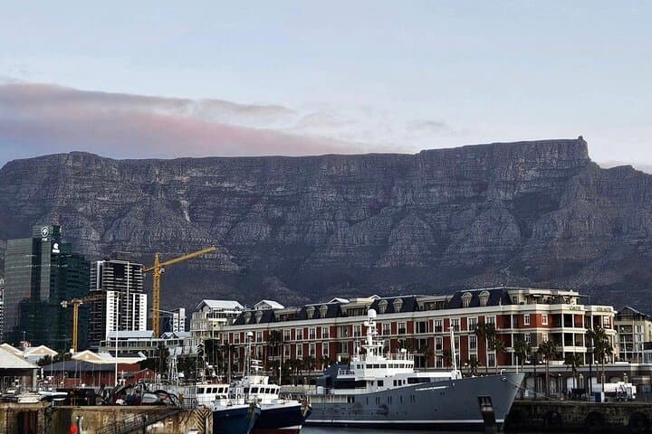 Cape Peninsula Coastal Drive: Cape of Good Hope, Boulders Beach & Chapman's Peak photo 2