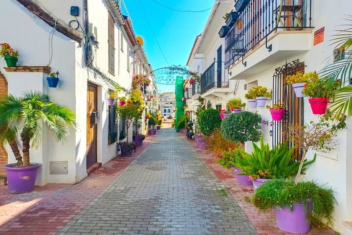 Private Estepona Walking Tour from Marbella — 4-Hour Family-Friendly Cultural Walk photo 3