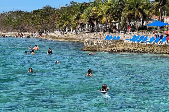Money Bar Cozumel Day Pass: Shore Snorkeling & Mexican Lunch at Dzul Ha Reef photo 4