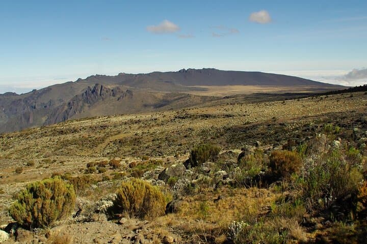 Marangu Route Day Trip — Mandara Hut Hike on Mount Kilimanjaro photo 3
