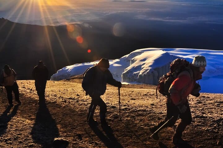 Marangu Route Day Trip — Mandara Hut Hike on Mount Kilimanjaro photo 4