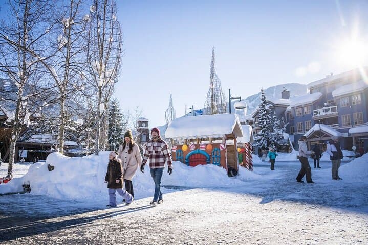 Sea-to-Sky Winter Day Trip: Whistler & Shannon Falls Private Sightseeing Tour photo 5