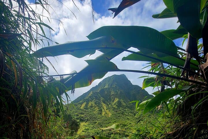 Hike to Dominica's Boiling Lake & Swim Titou Gorge: Full-Day Guided Trek photo 2