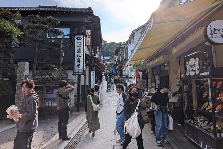 Kamakura & Enoshima Private Spanish Tour — Temples, Coastline & Island Views photo 4