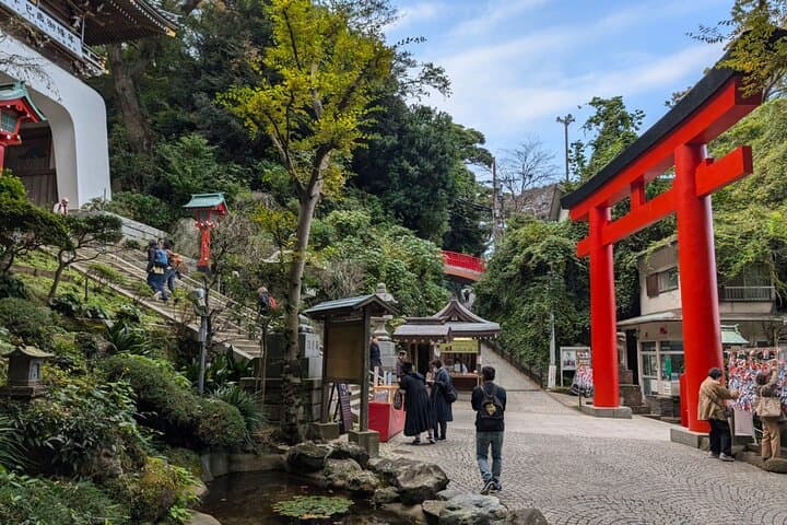 Kamakura & Enoshima Private Spanish Tour — Temples, Coastline & Island Views photo 5