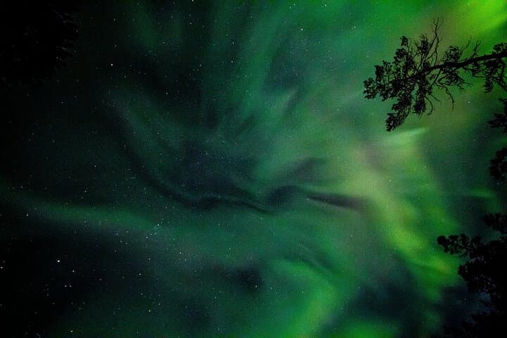 Golden Circle to Northern Lights: Private Full-Day Tour from Reykjavik photo 4