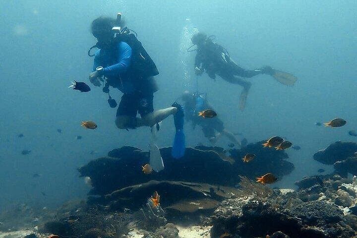 Cebu Three-Island Hopping: Gilutungan, Caohagan & Nalusuan Snorkel Tour photo 5