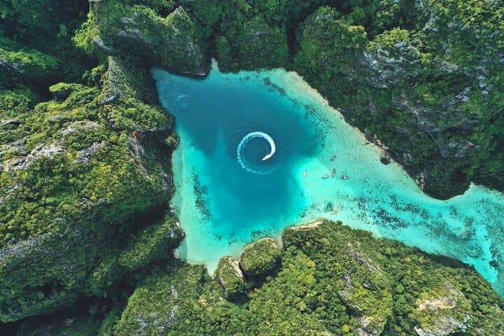 Speedboat Day Trip to Phi Phi: Maya Bay & Bamboo Island