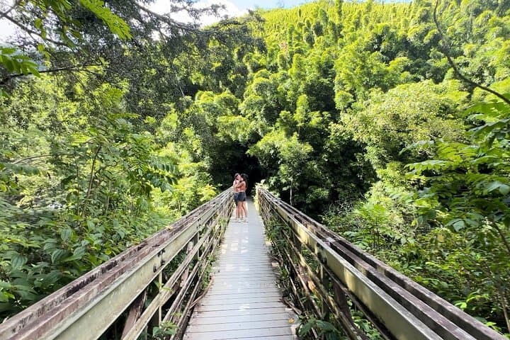 Private Pipiwai Trail Open-Air Jeep Tour — Road to Hana, Bamboo Grove & Waimoku Falls photo 6