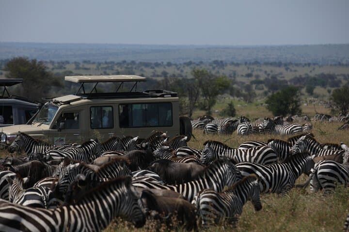 serengeti-migration-8-day-wildebeest-and-ngorongoro-safari photo 2