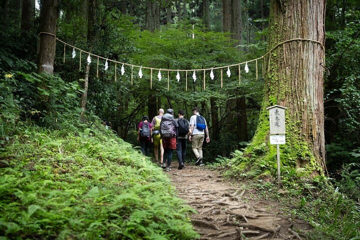 Hitachi Sacred Trail Hike and Cultural Gateway Day Tour