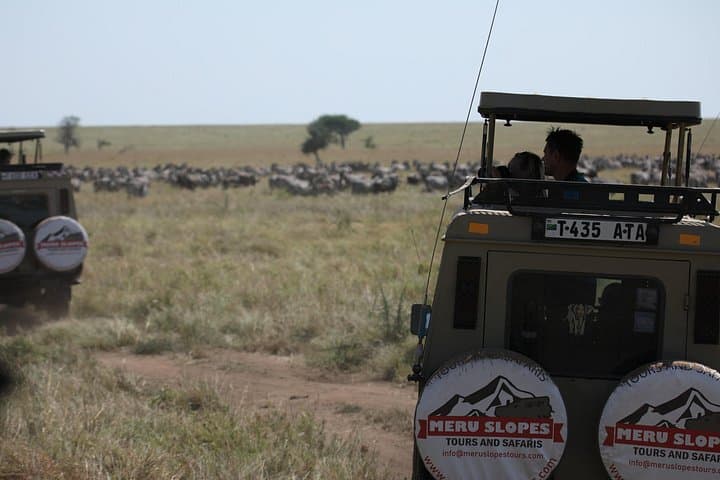 8-Day Serengeti Migration Safari — Tarangire, Ngorongoro & Lake Manyara photo 1